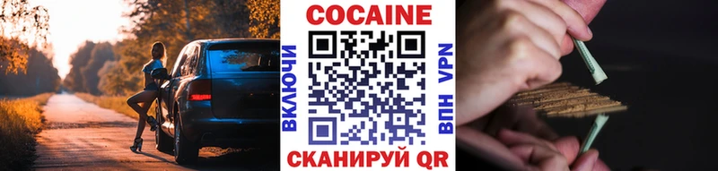 COCAIN Fish Scale  нарко площадка как зайти  МЕГА сайт  Ковров  наркошоп 