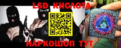 прущие крисы Кингисепп