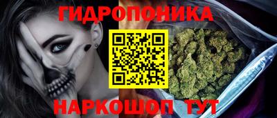 СК Бийск