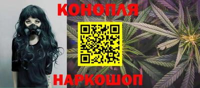 apvp Беслан