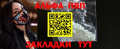 СК Бийск