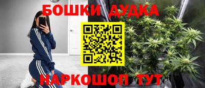 apvp Беслан