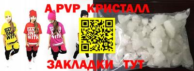 СК Бийск