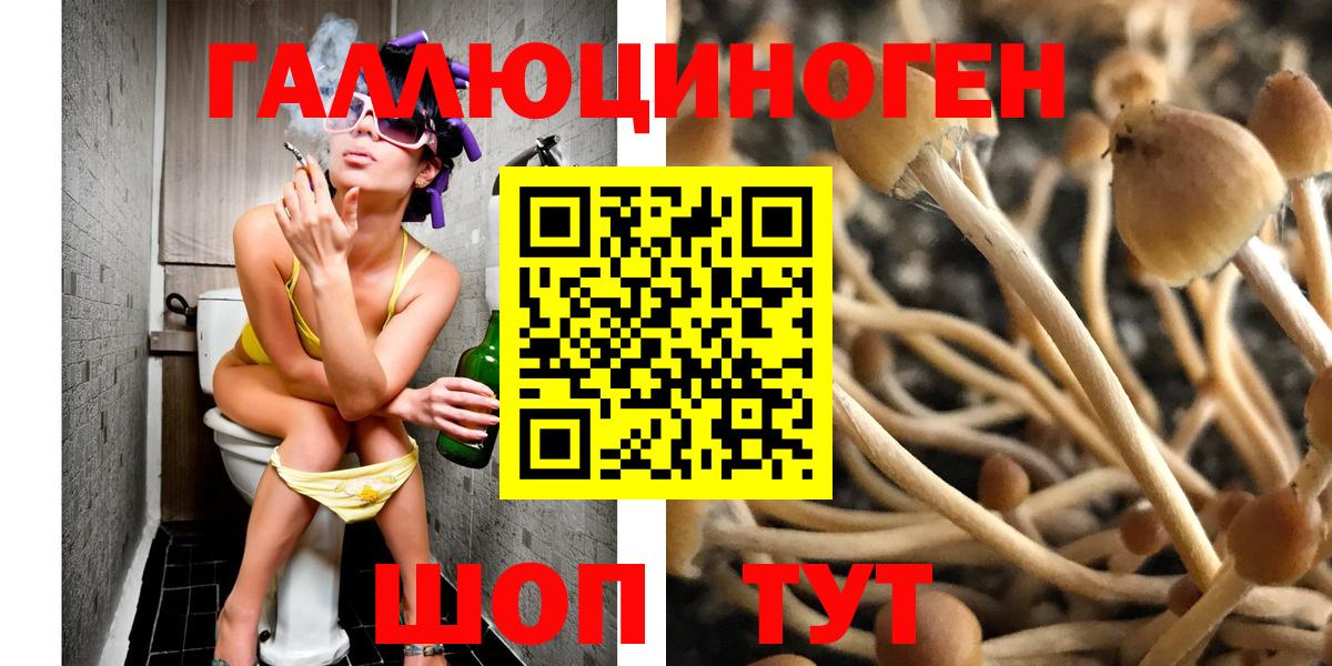 Псилоцибиновые грибы GOLDEN TEACHER  Вход с VPN  Псилоцибиновые грибы MAGIC MUSHROOMS  Ковров 